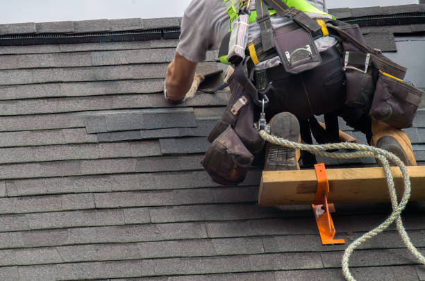 Storm Damage Siding Repair in Belhaven, NC